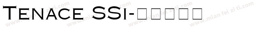 Tenace SSi字体转换